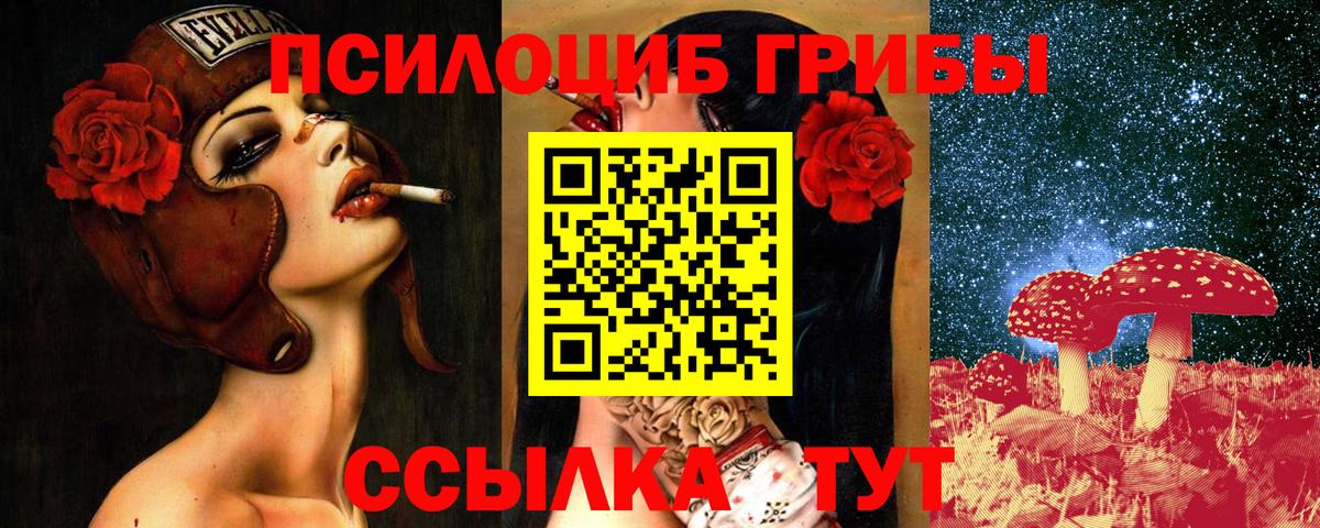 Тимашёвск  Псилоцибиновые грибы мицелий  Галлюциногенные грибы Psilocybe  Вход с VPN 